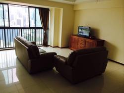Blk 1C The Pinnacle@Duxton (Bukit Merah), HDB 5 Rooms #161330802